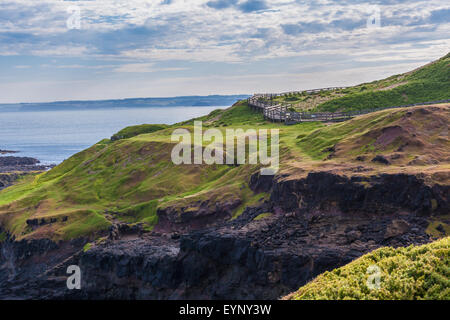 Phillip Island Nature Park - Landschaft mit grünen Hügeln und zerklüftete Küste, Australien Stockfoto