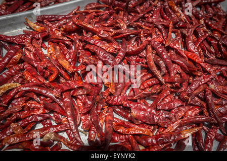 Chilis trocknen in der Sonne, Koh Samad, Thailand Stockfoto