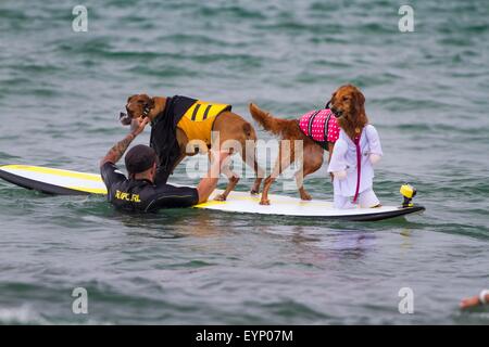 Imperial Beach, CA, USA. 1. August 2015. Welt FamoUSA entfesselt durch den Petco-Surf-Dog-Wettbewerb. Konkurrierende Hunden kamen aus allen Teilen des Landes in die perfekten Wellen aus Imperial Beach antreten. Der Strand war voll mit gut aussehenden, Hundeliebhaber und Surfer gleichermaßen. Es gab mehrere Kategorien von kleinen Hunden zu groß und ein Tandem-Ereignis. Sehen Sie hier: Hanzo, Rasse Boxer und Onyx Shorepound züchten amerikanische Springer Labrador Retriever immer bereit für ihre Tandem-Event als Star Wars Themen Darth Vader und Prinzessin Leia Credit: Daren Fentiman/ZUMA Draht/Alamy Live News Stockfoto