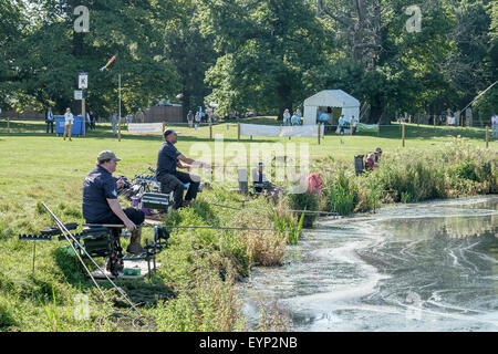 CLA Game Fair 2015 Harewood Stockfoto