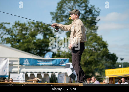 CLA Game Fair 2015 Harewood Stockfoto