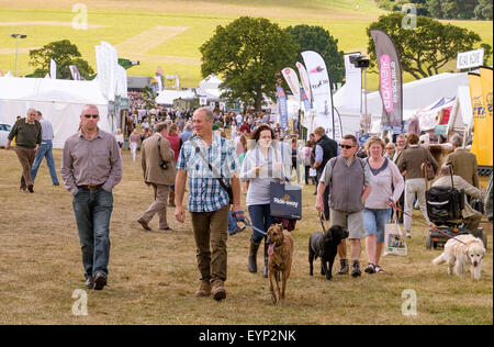 CLA Game Fair 2015 Harewood Stockfoto