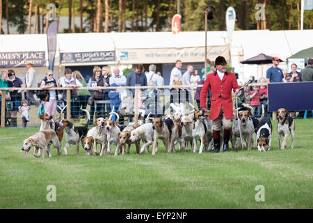CLA Game Fair 2015 Harewood Stockfoto