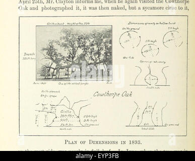 Bild entnommen Seite 154 von "Nidderdale und den Garten von der Nid: Yorkshire Rheinland usw." Bild entnommen Seite 154 von "Nidderdale und Garten Stockfoto