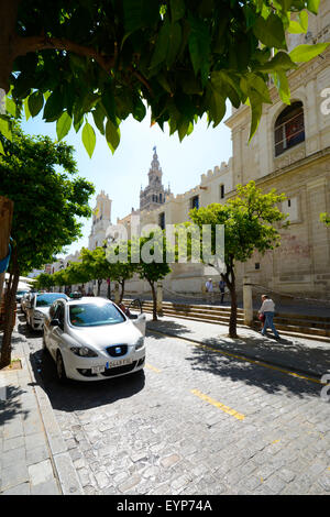 Ein Blick auf den Glockenturm Giralda durch Orangen- und die Kathedrale der Heiligen Maria des Stuhls in Sevilla, Andalusien, Spanien Stockfoto