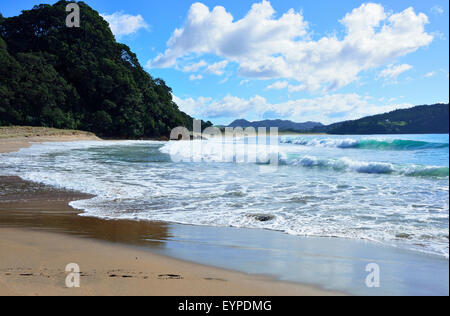 Hot Water Beach, Coromandel Halbinsel, Nordinsel, Neuseeland Stockfoto