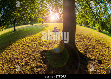 Ein liebendes Paar genießen Sie die Abendsonne unter einem Baum in einem Londoner park Stockfoto