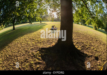 Ein liebendes Paar genießen Sie die Abendsonne unter einem Baum in einem Londoner park Stockfoto