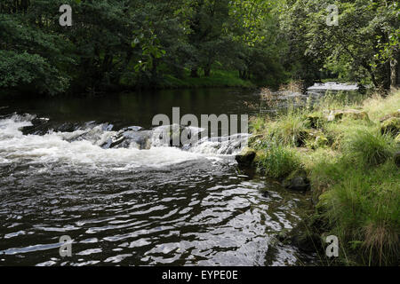 River Derwent in Derbyshire nahe Hathersage England Großbritannien Stockfoto