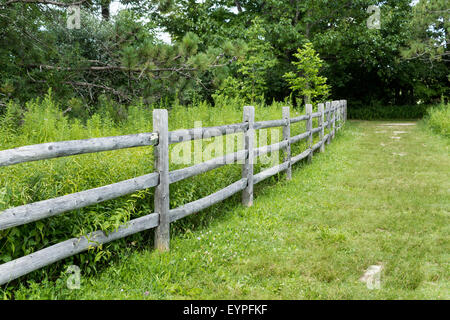 Gemähten Pfad entlang eine Gitterlinie für Wanderer in das Rouge Valley Conservation Centre in Toronto Ontario Stockfoto