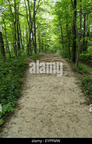 Wanderer-Pfad durch das Rouge Valley Conservation Centre Stockfoto