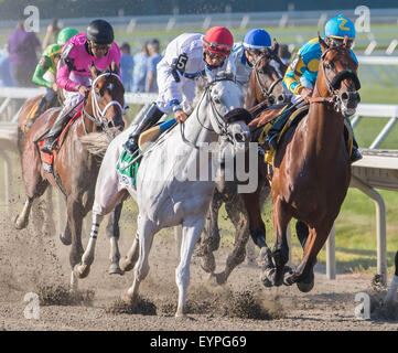 Oceanport, NJ, USA. 2. August 2015. Amerikanisches Pharoah läuft die erste Strecke, wie er einfach auf Sieg bei der 2015 Haskell Invitational im Monmouth Park in Oceanport, NJ geht. Mike Langish/Cal-Sport-Medien. Bildnachweis: Csm/Alamy Live-Nachrichten Stockfoto