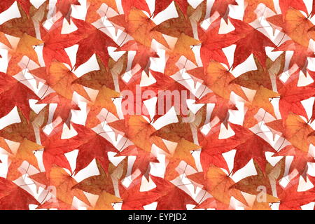 Nahtlose Maple Leaf Design 1 Stockfoto