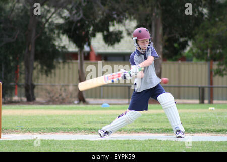 Einen jungen Cricket-Spieler rund um den Ball bei einem Nachwuchsspiel Cricket in einem Vorort von Adelaide, South Australia Stockfoto