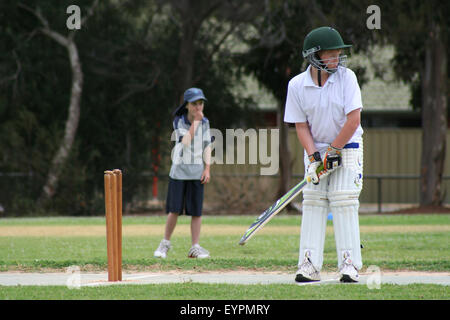 Nachwuchsspiel Cricket in Fortschritt, Adelaide, Südaustralien Stockfoto