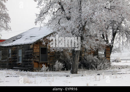 Alte hölzerne Scheune im winter Stockfoto