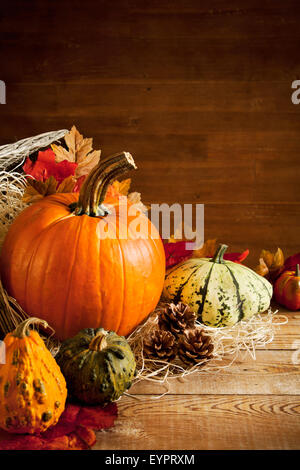 Rustikale Herbst Stilleben mit Kürbissen und ein Jack O'Lantern auf einem Holztisch. Stockfoto