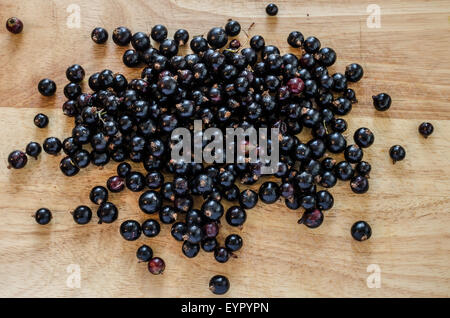 Eine große Sammlung von schwarzen Johannisbeeren, frisch gepflückt auf Holzbrett Hintergrund gewaschen und bereit zu essen oder Kochen Stockfoto