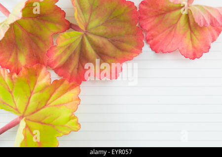 Bunte Blätter auf einem Notebook mit Exemplar. Romantische Note Hintergrund Stockfoto