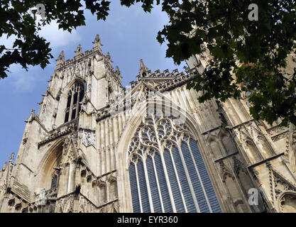 Postkarte Ansicht von York Minster unter Baum. York, North Yorkshire, England, UK. Stockfoto