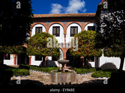 Das Museum of Fine Arts in Córdoba (1862) befindet sich in der Plaza del Potro ist der Sitz von Julio Romero de Torres Museum, Córdoba, Spanien Stockfoto