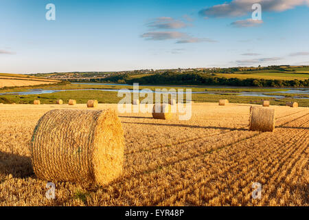Heuballen Trocknung oberhalb des Flusses Camel in Wadebridge in Cornwall Stockfoto