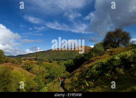 Auf der Suche nach Tal Hoffnungen Holz, in der Nähe von Little Stretton, Shropshire, England UK Stockfoto