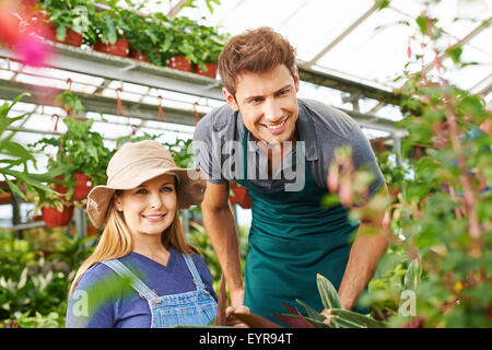 Zwei Gärtner arbeiten in einem Gewächshaus in grünen Pflanzen Stockfoto