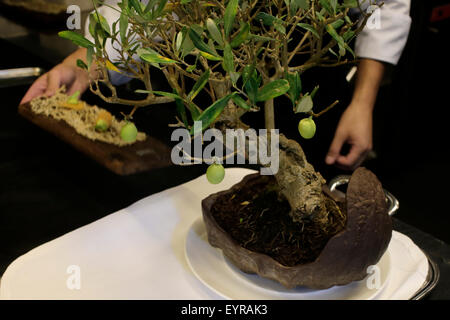 (150803)--GIRONA, 3. August 2015 (Xinhua)--Foto auf 2. Juli 2015 zeigt ein Bonsai mit Oliven Vorspeise Teller im El Celler de Can Roca in Girona, Spanien. Der frisch gekrönten weltweit beste Restaurant, Spaniens El Celler de Can Roca, gründet seinen Erfolg auf kulinarischen Traditionen der mediterranen Völker und kontinuierliche Innovation und Kreativität. Die Brüder Roca gegründet 1986 in Girona, Katalonien, im Nordosten Spaniens dieses Restaurant. Dieses Restaurant wurde von der renommierten britischen Magazin "Restaurant" früh im Juni als die besten der Welt gewählt. (Xinhua/Pau Barrena) Stockfoto