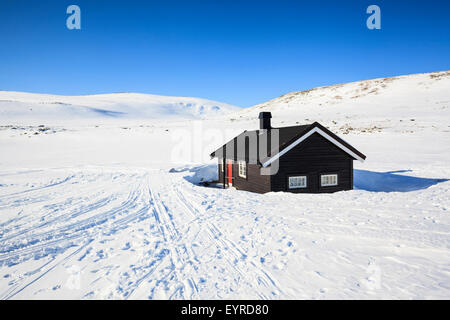 Reinheim-Kabine. Dovrefjell-Sunndalsfjella-Nationalpark. Norwegen. Stockfoto