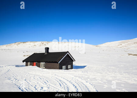 Reinheim-Kabine. Dovrefjell-Sunndalsfjella-Nationalpark. Norwegen. Stockfoto