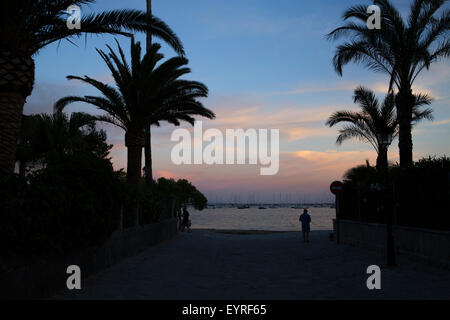 Schönen Abend Sonnenuntergang auf dem Pine Walk in Pollenca Stockfoto