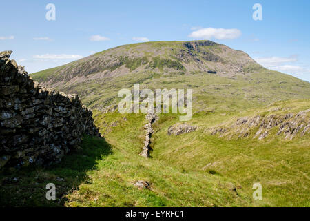 Trockenmauer aus Osten im Sommer zur Moel Hebog Mountain Profil führen. Snowdonia-Nationalpark, North Wales, UK, Großbritannien Stockfoto