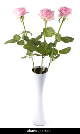 Drei rosa Rosa in einer Vase, isoliert auf weiss Stockfoto