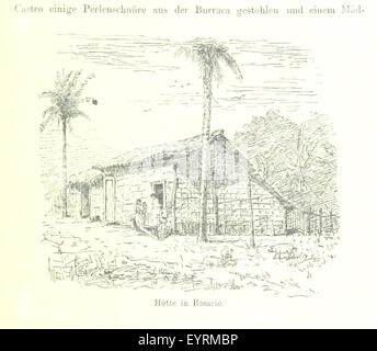 Durch Central-Brasilien. Expedition Zur Erforschung des Schingú Im Jahre 1884, etc. Bild entnommen Seite 111 von "Durch Central-Brasilien-Expedition Zur Stockfoto