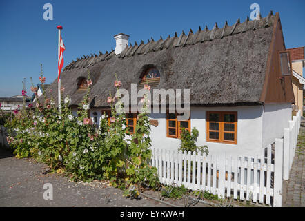 Charmantes altes Haus mit Strohdach und stockrosen im Garten auf nørregade die Hauptstraße des kleinen Ortes Vig, Seeland, Dänemark Stockfoto