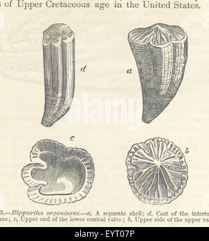 Bild von Seite 211 "Text Book of Geology Stockfoto