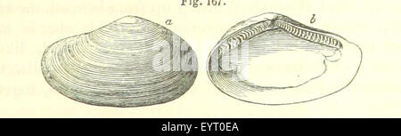 Bild von Seite 215 "[A-Handbuch der elementaren Stockfoto