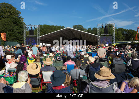 Menge an Cambridge Folk Festival 2015 Stockfoto