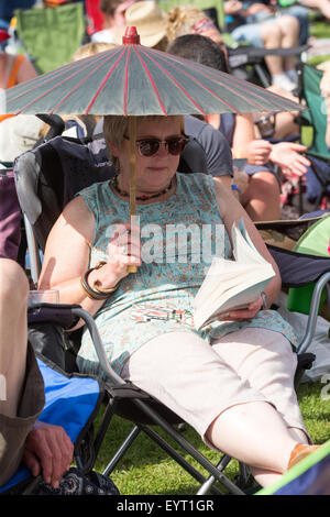 Menge an Cambridge Folk Festival 2015 Stockfoto