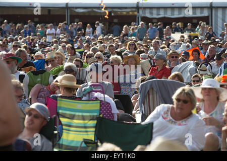 Menge an Cambridge Folk Festival 2015 Stockfoto