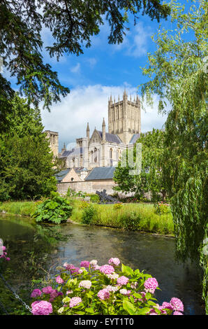 Wells Cathedral aus den Gärten der Bischofspalast mit dem Graben in den Vordergrund, Wells, Somerset, England, UK Stockfoto