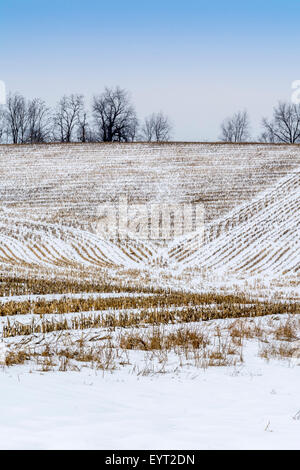 Schnee bedeckt Mais-Feld in der Bluegrass-Region von Kentucky USA Stockfoto
