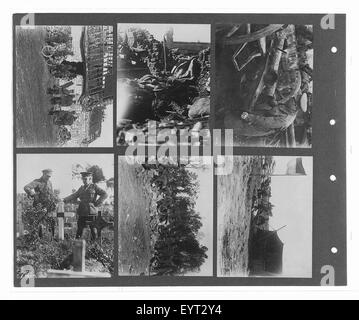 Ein Bild aus Band 4 der Canadian Official war Photos Serie, das wahrscheinlich eine historische Kriegsszene aus der Sammlung des Canadian war Memorials Fund darstellt. Stockfoto