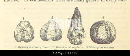 Bild entnommen Seite 264 von "erweiterte Lehrbuch der Geologie Stockfoto