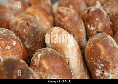 Nahaufnahme eines aufrechten Brote frisch gebackenes Olivenbrot Stockfoto