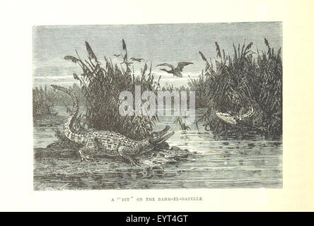 Eine Illustration aus „Cassell's History of the war in the Soudan“, die eine wichtige Schlacht oder Szene aus dem Konflikt im Sudan darstellt, wobei der Schwerpunkt auf den militärischen Engagements liegt. Stockfoto
