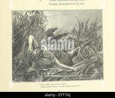Das Bild stammt von Seite 361 der „Illustrated British Ballads“, die eine Illustration oder Szene im Zusammenhang mit einer traditionellen britischen Ballade zeigt und das reiche kulturelle und musikalische Erbe der Britischen Inseln hervorhebt. Stockfoto