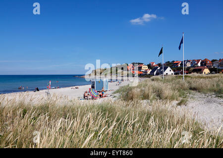 Der Huntested-Strand und der untere Teil der Moränenklippe, Spodsbjerg, mit Überresten des Zweifels Skansen im Hintergrund an einem sonnigen Sommertag Stockfoto