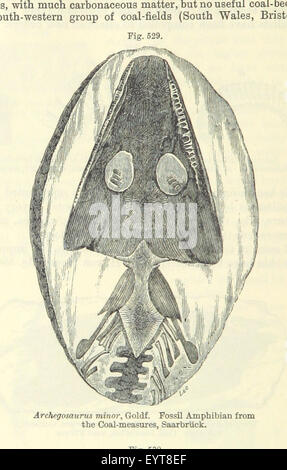 Der Student Lyell. Ein Handbuch der elementaren Geologie. Bearbeitet von J. W. Judd. Mit... Abbildungen, etc. Bild entnommen Seite 396 von "The Student Lyell A Stockfoto